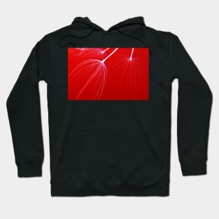 Realistic Abstract Hoodie